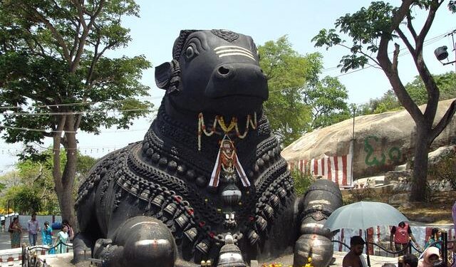 Netumbo Nandi-Ndaitwah sworn in as Namibia’s first female president – Al Jazeera English