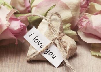 Overweight and obesity trends and association with household wealth index among children aged 5 to 19 years in Ethiopia a multilevel analysis of 2016 EDHS data – Nature.com