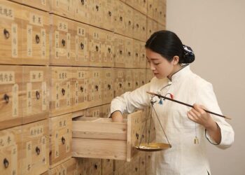 Chinese doctors lend healing hands in the Gambia – China Daily