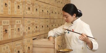 Chinese doctors lend healing hands in the Gambia – China Daily