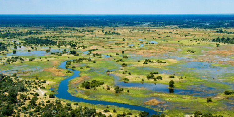 What the world can learn from Botswana – The Economist