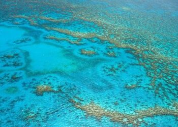 Crisis-hit French territory of New Caledonia on brink of economic collapse – Focus – FRANCE 24 English