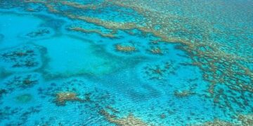 Crisis-hit French territory of New Caledonia on brink of economic collapse – Focus – FRANCE 24 English