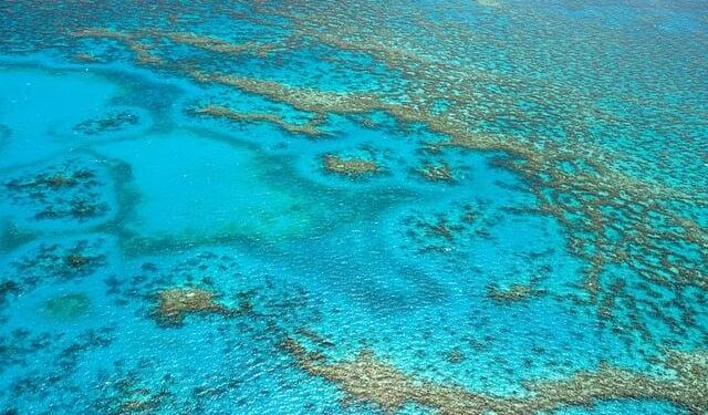 Crisis-hit French territory of New Caledonia on brink of economic collapse – Focus – FRANCE 24 English