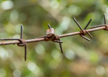 Number of asylum seekers on Nauru jumps as Australia transfers 37 people who arrived by boat – The Guardian