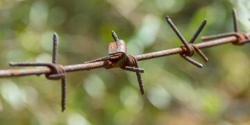 Number of asylum seekers on Nauru jumps as Australia transfers 37 people who arrived by boat – The Guardian