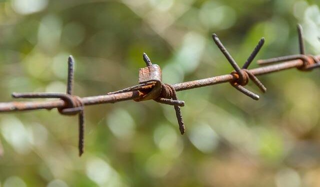 Number of asylum seekers on Nauru jumps as Australia transfers 37 people who arrived by boat – The Guardian