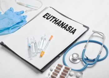 The rise of legalized euthanasia in Spain – America: The Jesuit Review