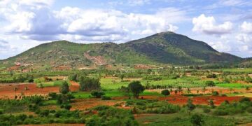Namibia elects Nandi-Ndaitwah as first female president – Reuters