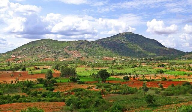 Namibia elects Nandi-Ndaitwah as first female president – Reuters