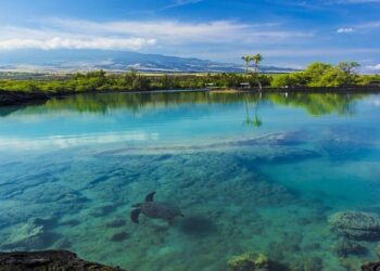 Indicted Hawaii doctor alleged attack on wife detailed in restraining order petition – The Independent