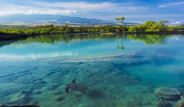 Indicted Hawaii doctor alleged attack on wife detailed in restraining order petition – The Independent