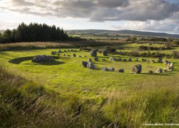 Co Tyrone lorry driver accused of smuggling £500k of cannabis into NI – Belfast Telegraph