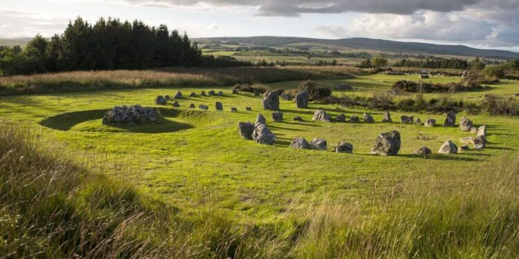 Co Tyrone lorry driver accused of smuggling £500k of cannabis into NI – Belfast Telegraph