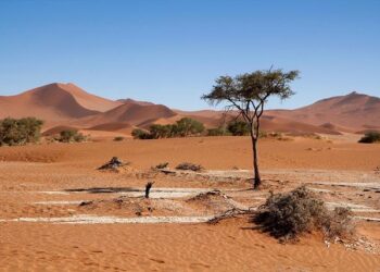 How Namibia Elected Its First Female President – Northeastern Global News