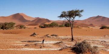 How Namibia Elected Its First Female President – Northeastern Global News