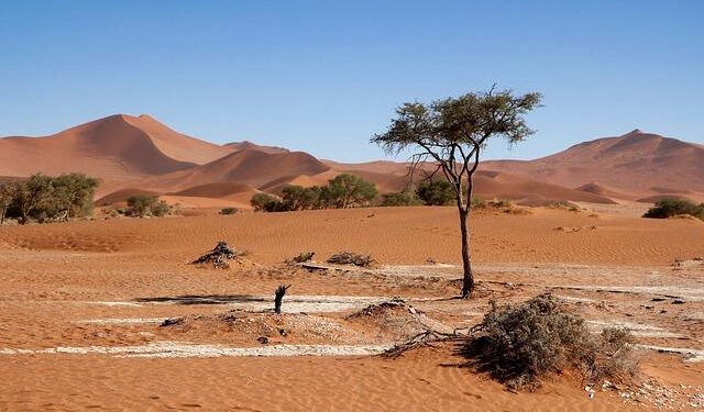 How Namibia Elected Its First Female President – Northeastern Global News