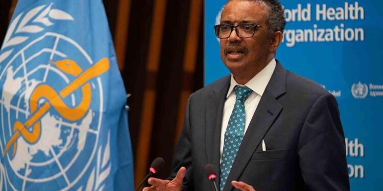 WHO’s Investment Round – Gambia impact story – World Health Organization (WHO)