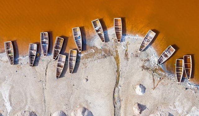 Internationals: Senegal, Morocco, & Algeria with big wins – Ligue 1 McDonald’s