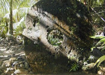 Yapese navigator plans to build a traditional Micronesian canoe on Hawai‘i Island – Hawaii Public Radio