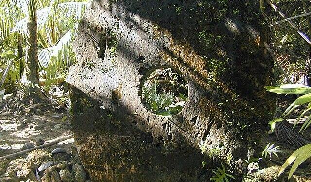 Yapese navigator plans to build a traditional Micronesian canoe on Hawai‘i Island – Hawaii Public Radio