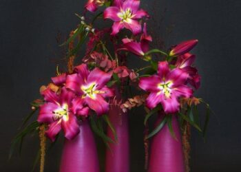 Klaver Flowers Carries a Floral Production Panache That Spans Continents – Thursd