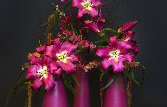 Klaver Flowers Carries a Floral Production Panache That Spans Continents – Thursd