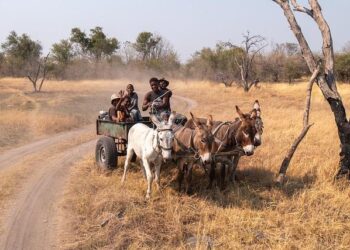 Road to Progress: Enhancing Comoros’ Transport Network – Environment+Energy Leader