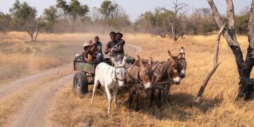 Road to Progress: Enhancing Comoros’ Transport Network – Environment+Energy Leader