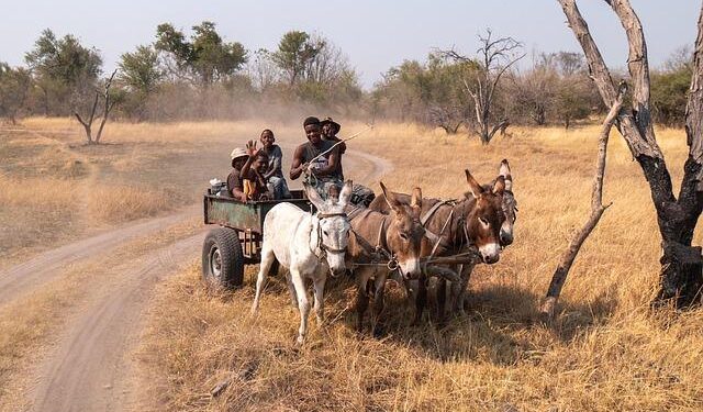 Road to Progress: Enhancing Comoros’ Transport Network – Environment+Energy Leader