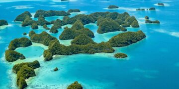 Palau team hosts sports envoys, connects nation with shared love of baseball – State Magazine (.gov)