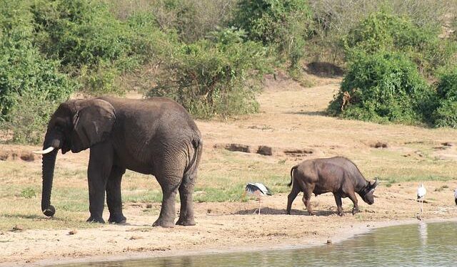East Africa: ‘JP Morgan in Kenya helps make the market vibrant,’ says Equity CEO James Mwangi – The Africa Report.com