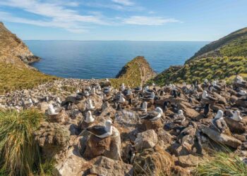 Falklands and Gibraltar will remain British, Keir Starmer pledges – BBC