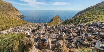 Falklands and Gibraltar will remain British, Keir Starmer pledges – BBC