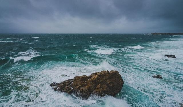 France voices ‘shock’ at US calls to drop DEI programs – DW