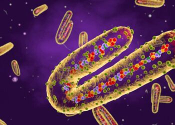 Fight or Flight — Facing the Marburg Outbreak in Rwanda – NEJM