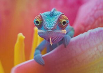 World Bank okays $1.08b for education, others in Nigeria – The Nation Newspaper