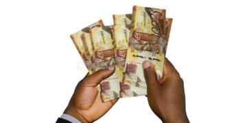 The Two Sides of Strong Kenya Shilling – MSN