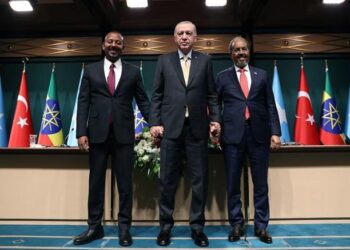 Turkey to seek improved Africa cooperation in Djibouti talks, officials say – Reuters