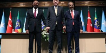 Turkey to seek improved Africa cooperation in Djibouti talks, officials say – Reuters