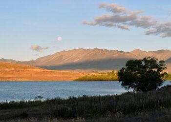 Oceania guests prefer included gratuities to wine at mealtimes – Cruise Passenger