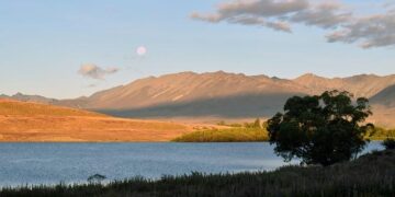 Oceania guests prefer included gratuities to wine at mealtimes – Cruise Passenger