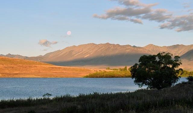 Oceania guests prefer included gratuities to wine at mealtimes – Cruise Passenger