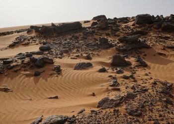 South Sudan on the Brink Risks Triggering Wider Conflict – Bloomberg