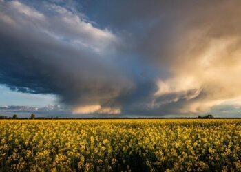 Man given 23 years for rape and abuse of children – BBC