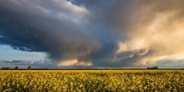 Man given 23 years for rape and abuse of children – BBC