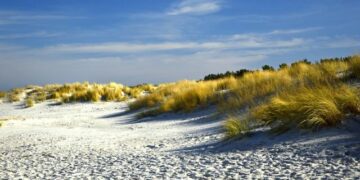 Reporters – Coastal submersion in Sierra Leone: The vicious cycle of poverty – France 24