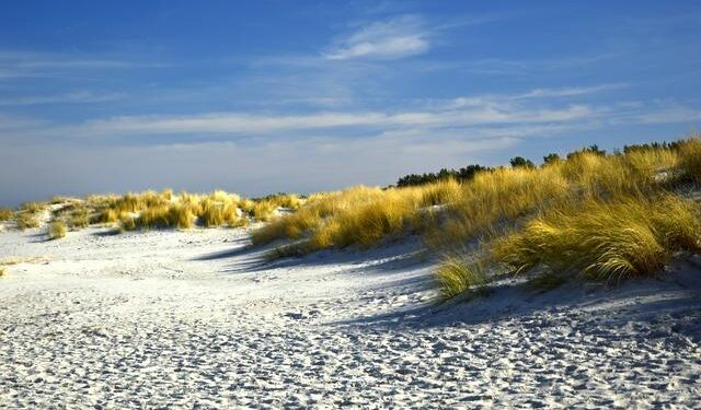 Reporters – Coastal submersion in Sierra Leone: The vicious cycle of poverty – France 24