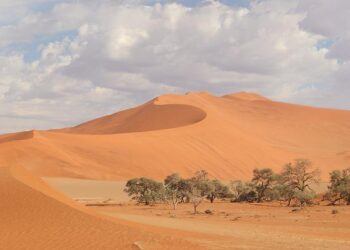 The best times to visit Namibia for hiking, wildlife and more – Lonely Planet