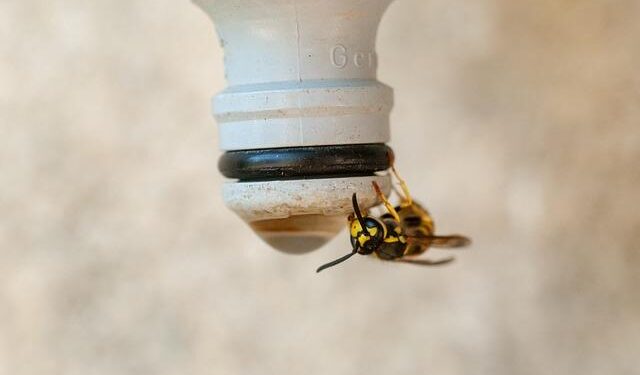 France’s Macron approves Pacific leaders visit to troubled New Caledonia – Reuters